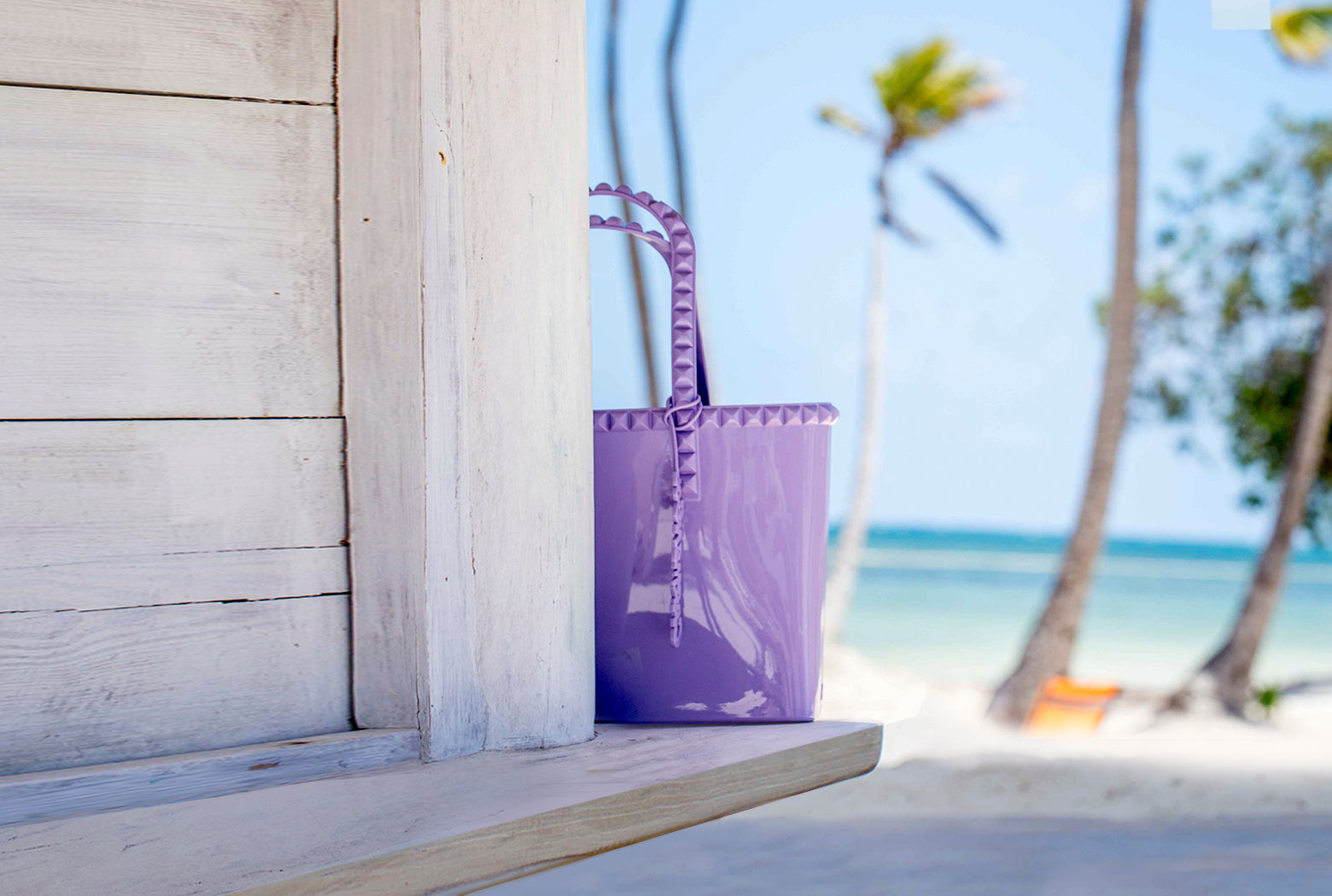 Carmen Sol Jelly, Carmen Sol bags, Jelly Purse, Jelly Tote Bag