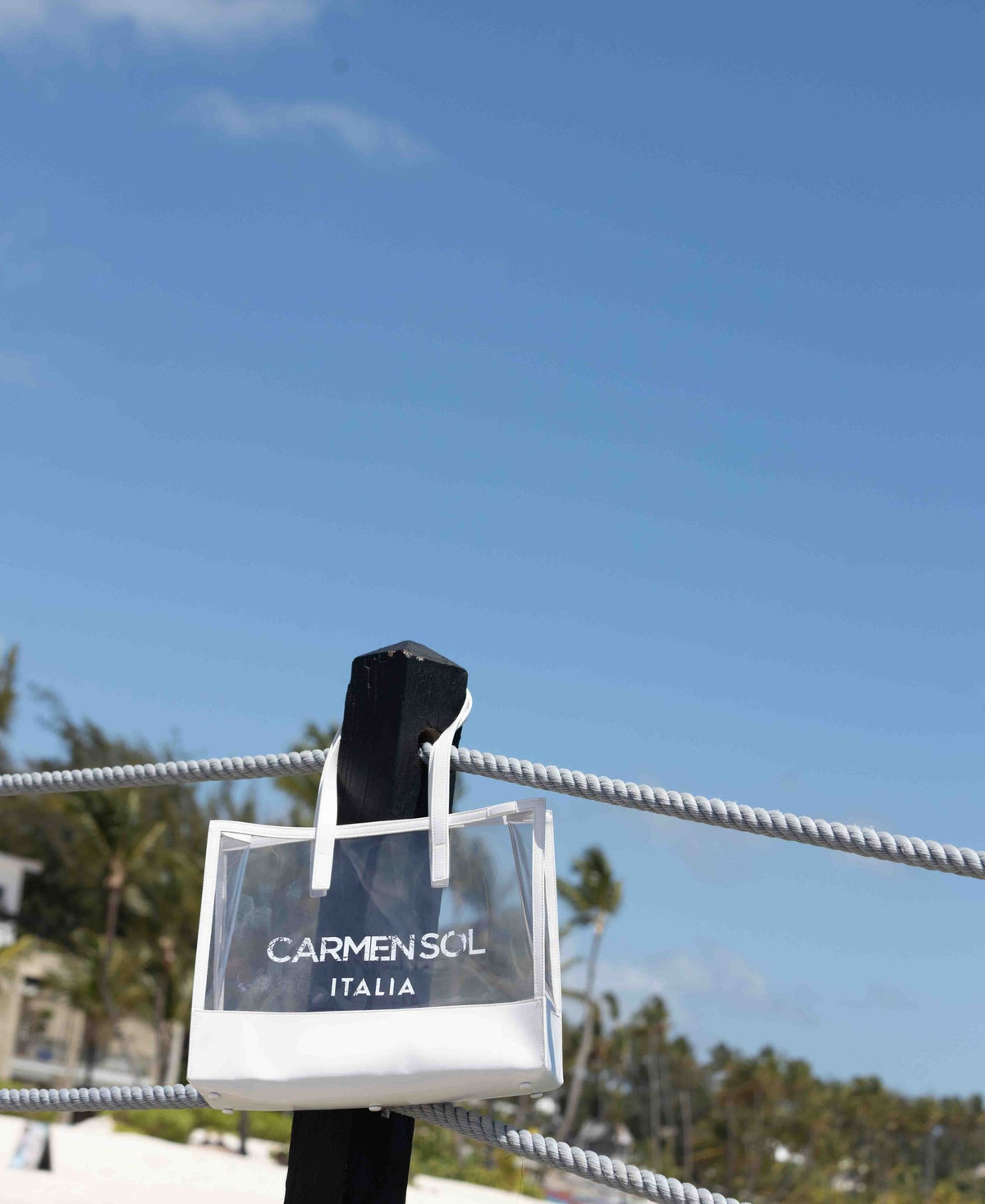 Venezia Clear Mini Tote